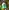 Video poster for https://a.storyblok.com/f/341786/x/73b684849a/03-small-thumbnail-406xany-height-instacart-gw.mp4