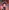 Video poster for https://a.storyblok.com/f/341786/x/e00740a8ba/03-small-thumbnail-406xany-height-skyscanner.mp4