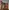 Video poster for https://a.storyblok.com/f/341786/x/81a0aca22f/03-small-thumbnail-406xany-height.mp4