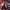 Video poster for https://a.storyblok.com/f/341786/x/bc137eec11/03-small-thumbnail-406xany-height.mp4
