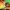 Video poster for https://a.storyblok.com/f/341786/x/a20de85120/03-small-thumbnail-406xany-height.mp4