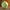 Video poster for https://a.storyblok.com/f/341786/x/fae5cf0d5d/03-small-thumbnail-406xany-height-chewbert-pop.mp4