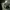 Video poster for https://a.storyblok.com/f/341786/x/ef5dbf37b3/17-rudimental_video.mp4