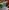 Video poster for https://a.storyblok.com/f/341786/x/a1c85ee951/03-small-thumbnail-406xany-height-fanta.mp4