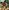 Video poster for https://a.storyblok.com/f/341786/x/8fe9cce3a3/03-small-thumbnail-406xany-height.mp4
