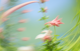 Blog visual