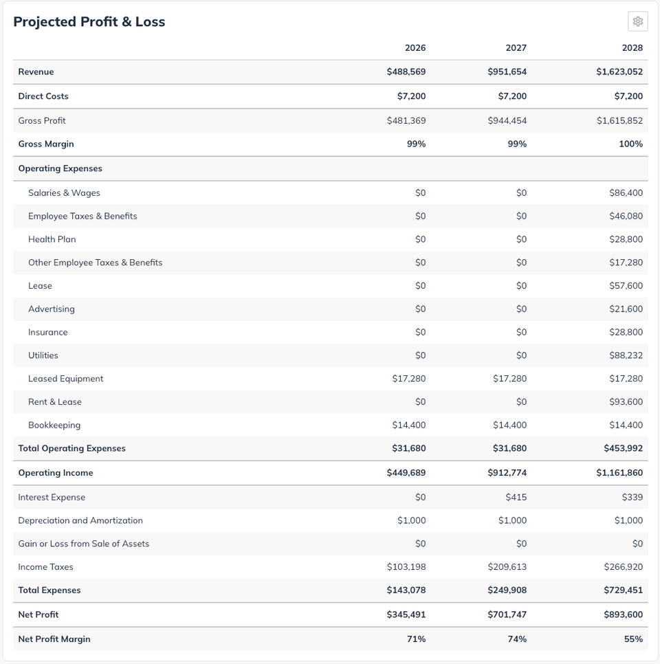 NPE - Profit and Loss statement