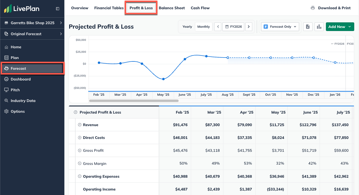 forecast-section-with-profit-and-loss-highlighted-090325