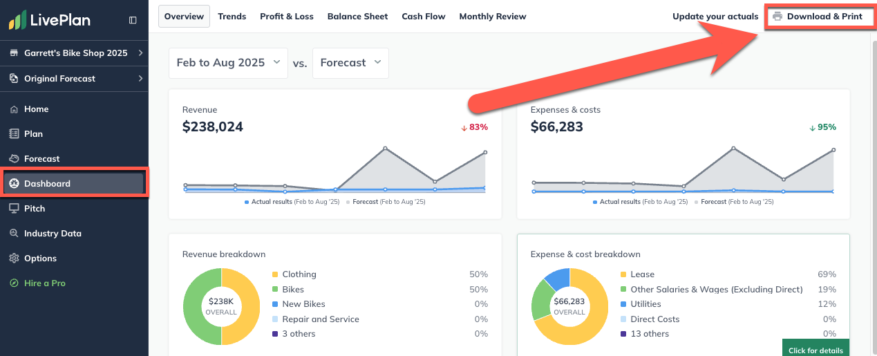 dashboard download and print