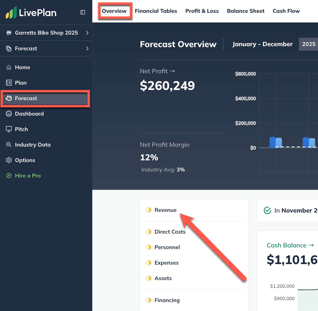 forecast overview revenue