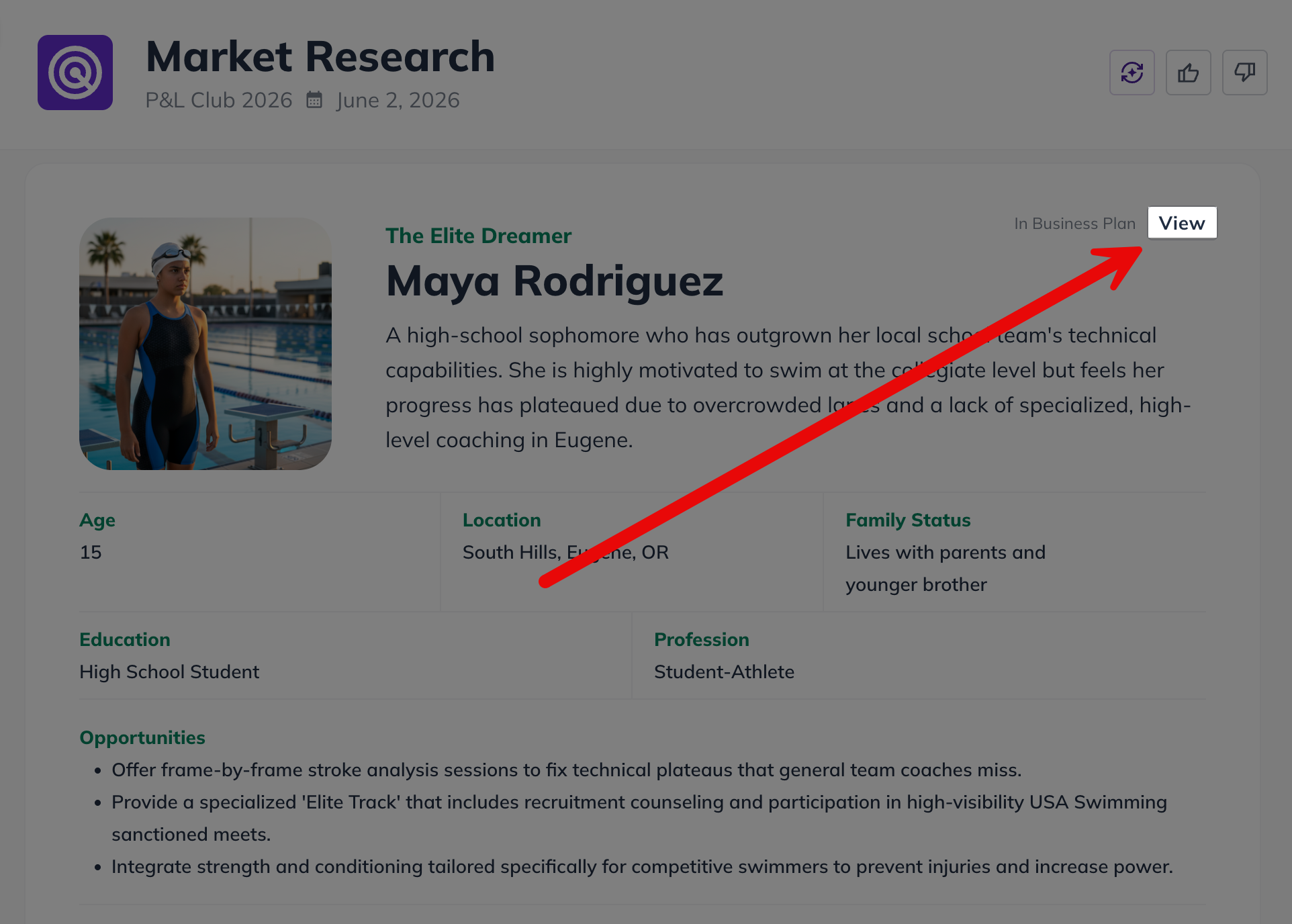 view market research widget plan
