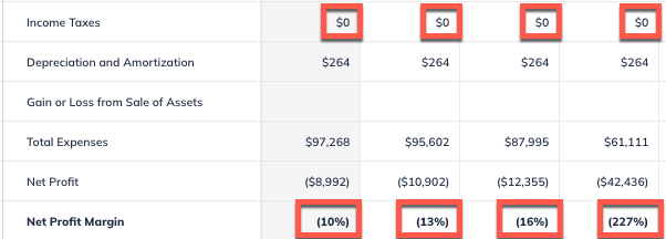 negative net profit