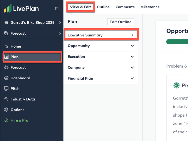 plan section view and edit with exectuive summary highlighted