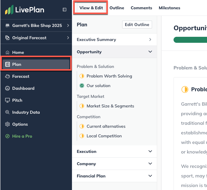 LivePlan plan view and edit highlighted