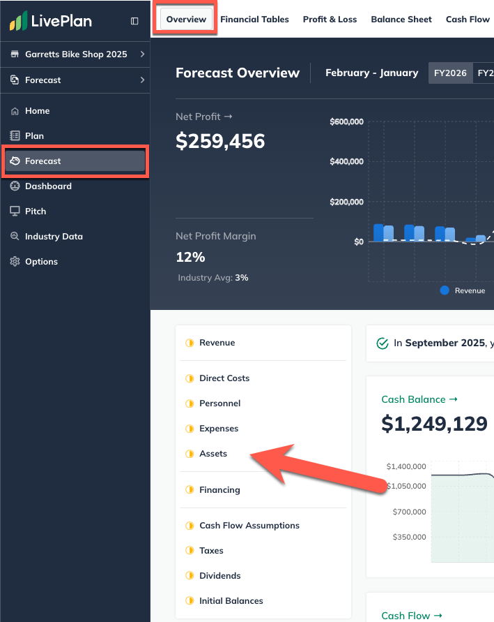 overview-with-arrow-pointing-to-assets