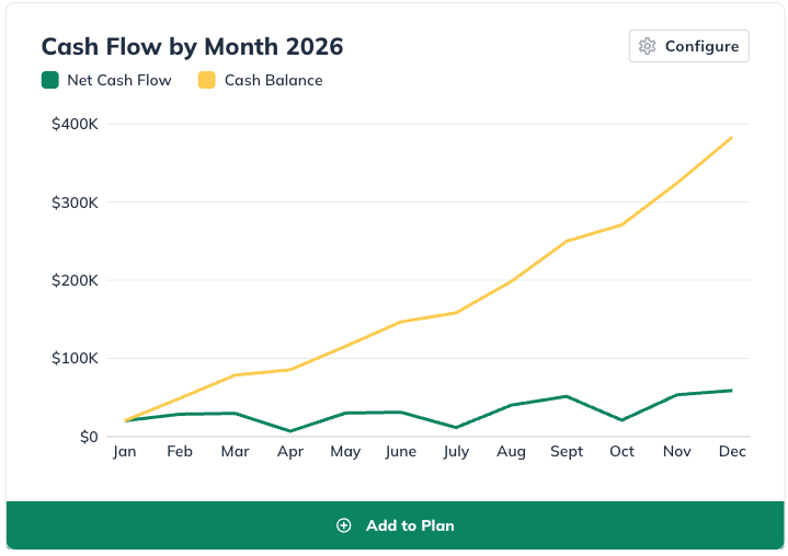 NPE - cash flow by month
