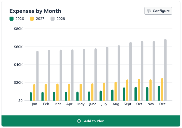 NPE - expenses by month