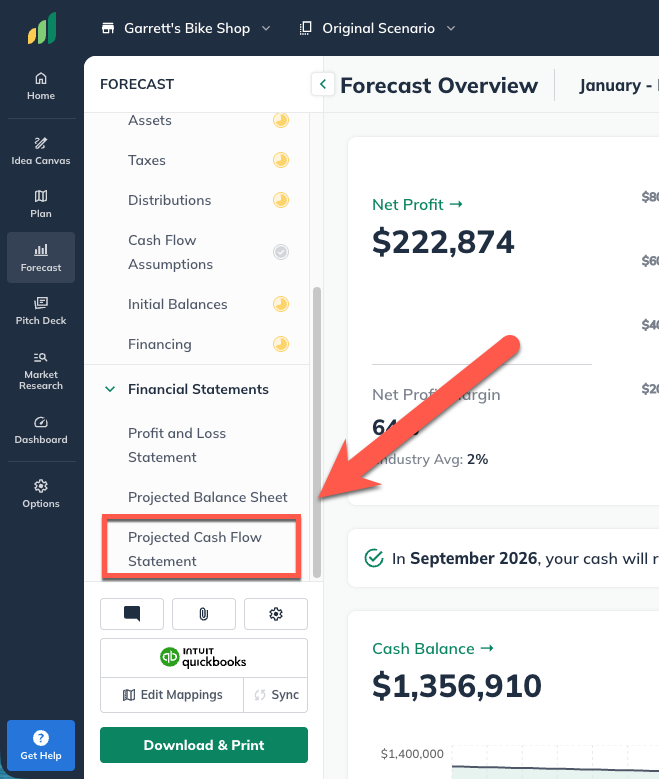 forecast-overview-with-cash-flow-highlighted-090325
