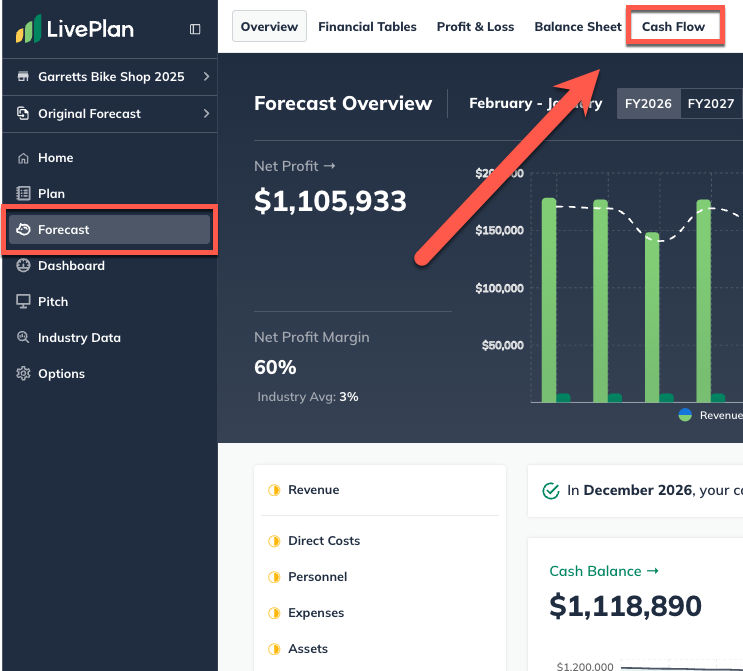 forecast-overview-with-cash-flow-highlighted-090325