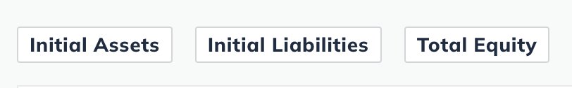 Image: initial assets initial liabilities and total equity buttons