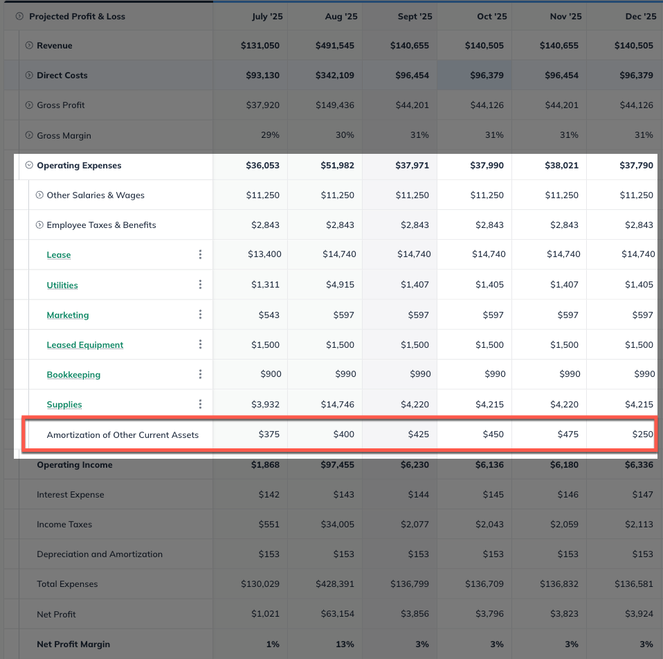 P&L Amortization