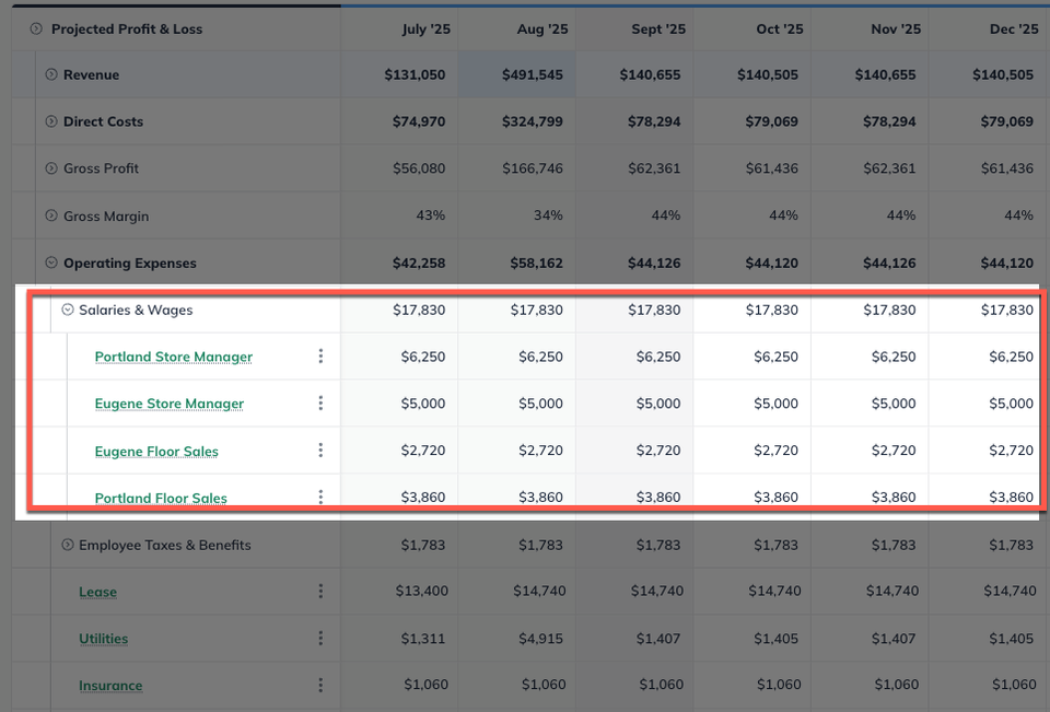 pandl with salaries highlighted