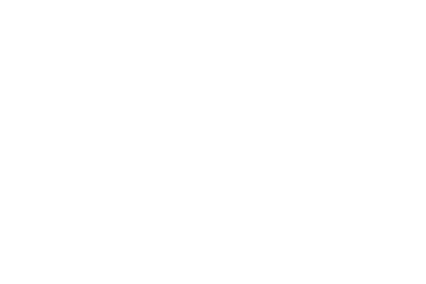 dale-carnegie-logo