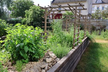 Hochbeete mit Rankhilfen in einem Garten.