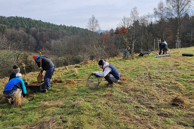 Menschen arbeiten auf einer Wiese mit Spaten und Handschuhen.