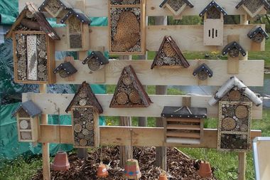 Mehrere unterschiedlich große Insektenhotels sind auf einer Bretterwand angebracht zur Veranschaulichung.