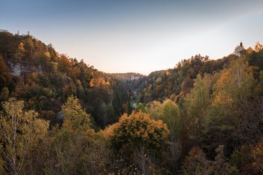 Herbstlicher Wald im Abendlicht, Blick auf Hügel, in der Ferne mittig ein Gebäude.