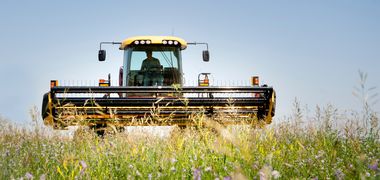 Eine Blumenwiese im Vordergunrd, ein Traktor mit Aufsatz zum mähen im Hintergrund.