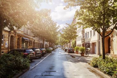 Blick in die sommerliche Alexanderstraße in Bayreuth – grüne Bäume, parkende Autos.