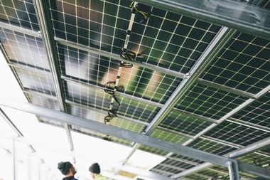 Blick von unten auf die Verkabelung von Solarmodulen in einem Solarpark.