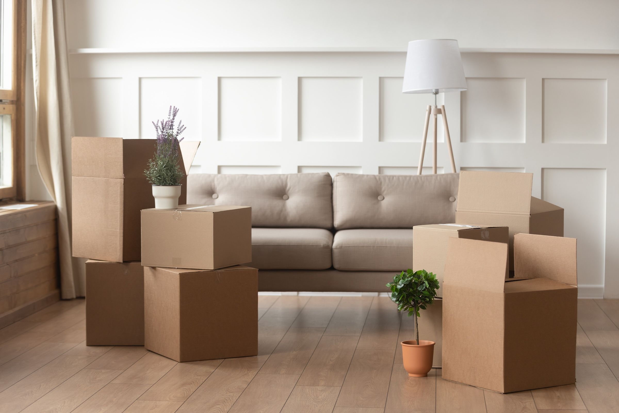 Moving boxes and plants in a modern living room