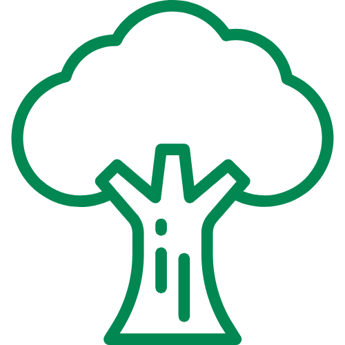 Green outline icon of a tree with a broad canopy and trunk, representing nature or environmental themes.