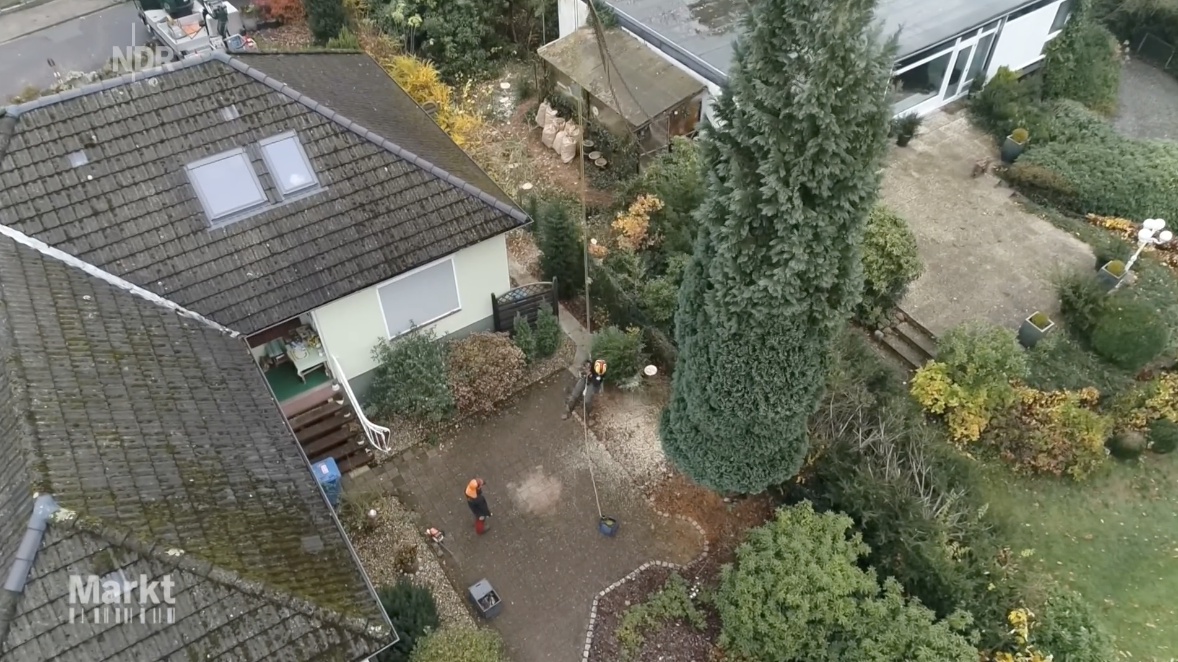 Baumdienst Behr im NDR