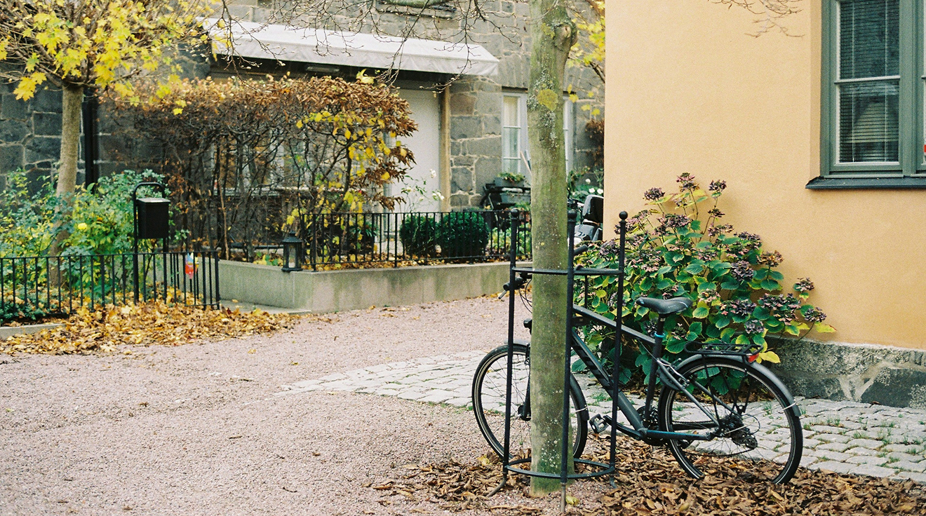 En höstig gata med träd, löv och en cykel.