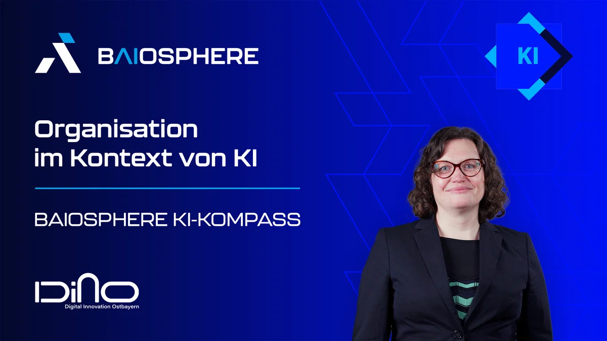 Thumbnail zum Impulsvideo Organisation im Kontext von KI. Mit Dr. Stefanie Demirci (VDI/VDE Innovation + Technik).