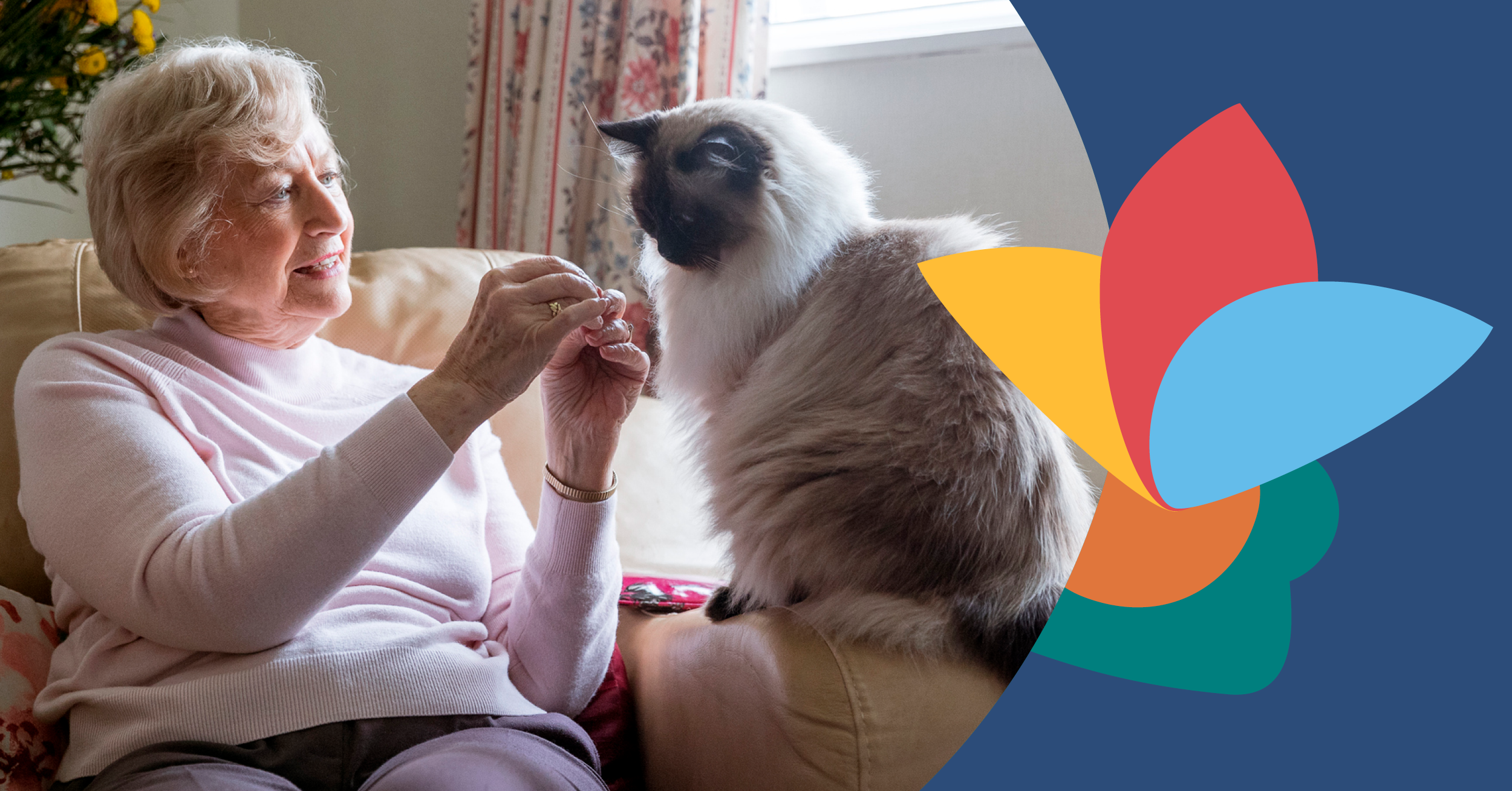 Elderly woman in a pink sweater sits on a couch, smiling at a fluffy cat. A colorful abstract flower design is on the right side.