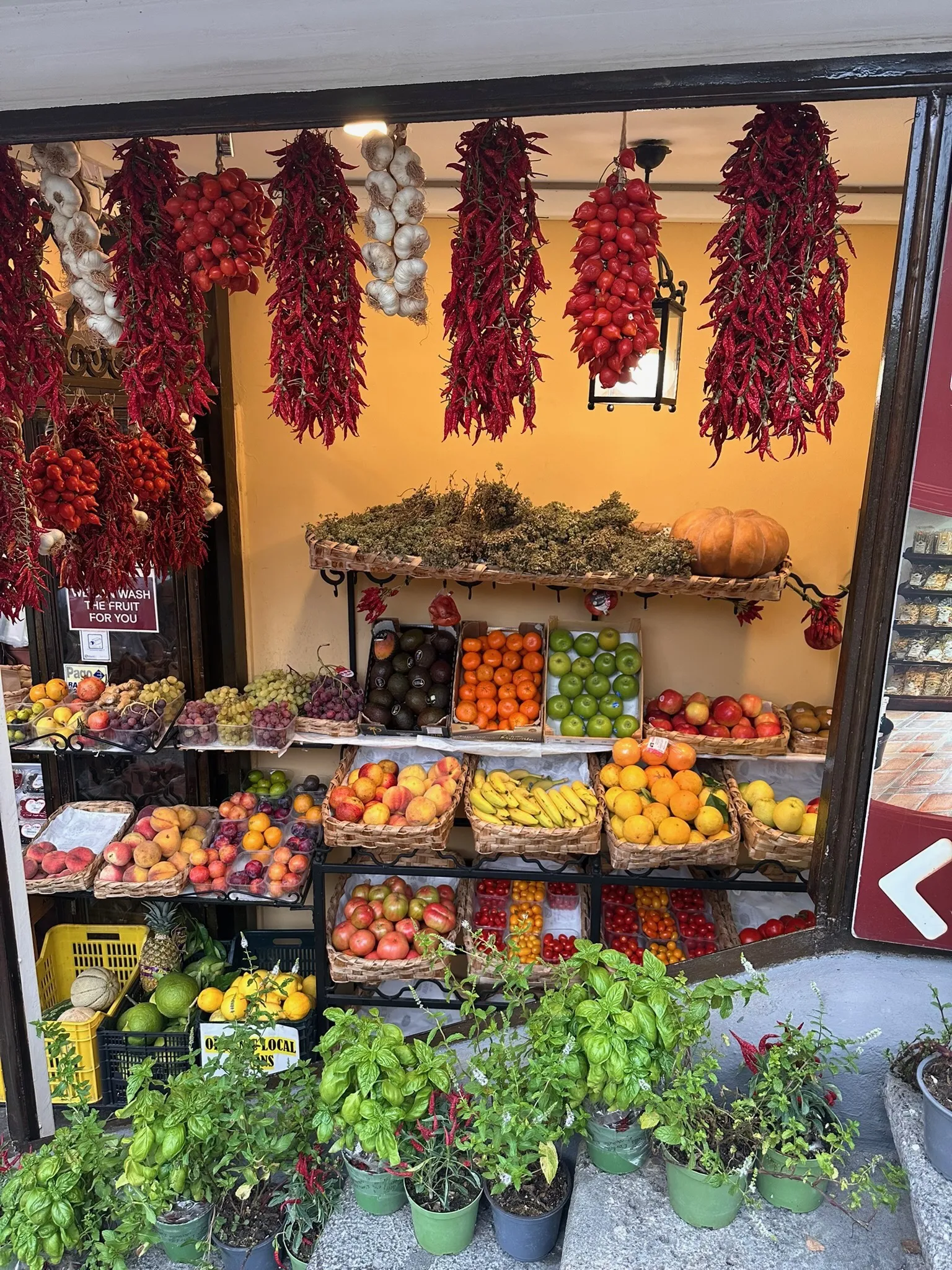 Italian Cuisine is UNESCO Heritage | Lemon Appeal