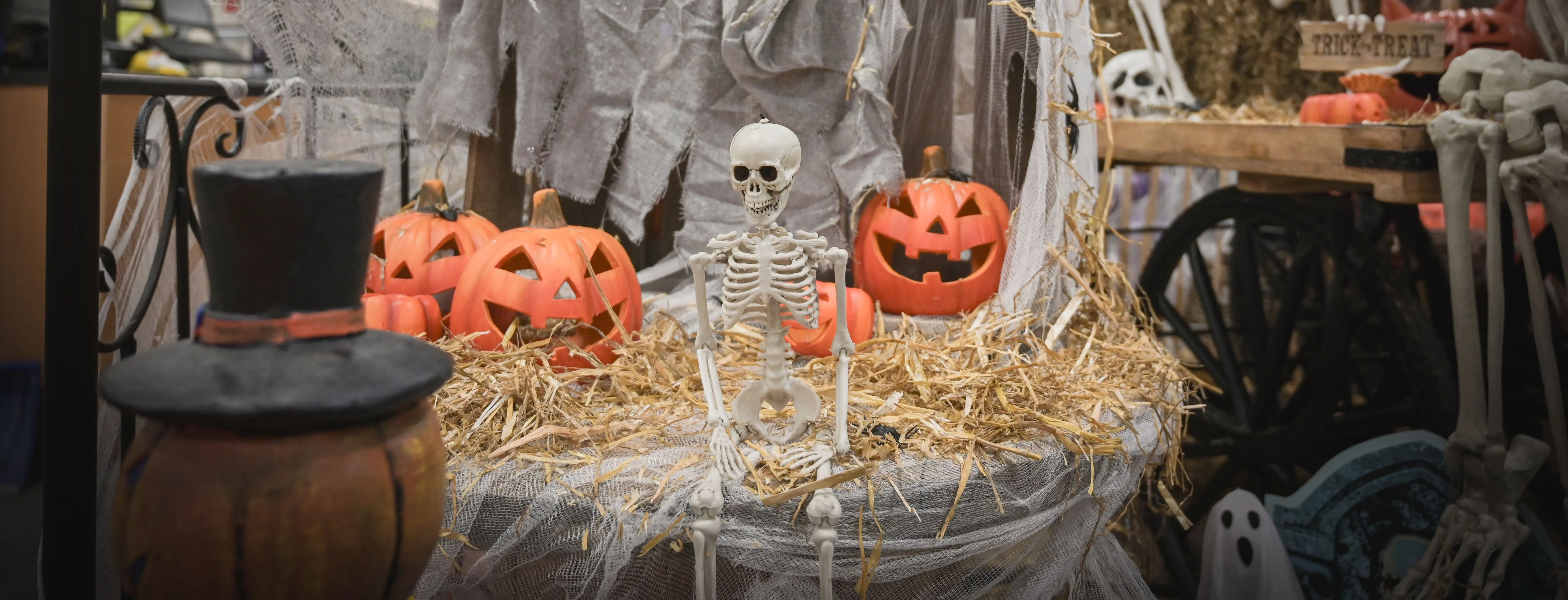 Ooms Feestwinkel (@oomsfeestwinkel) • Instagram photos and videos, image size:6048x2315