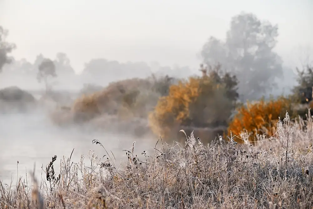 Novembergrau
