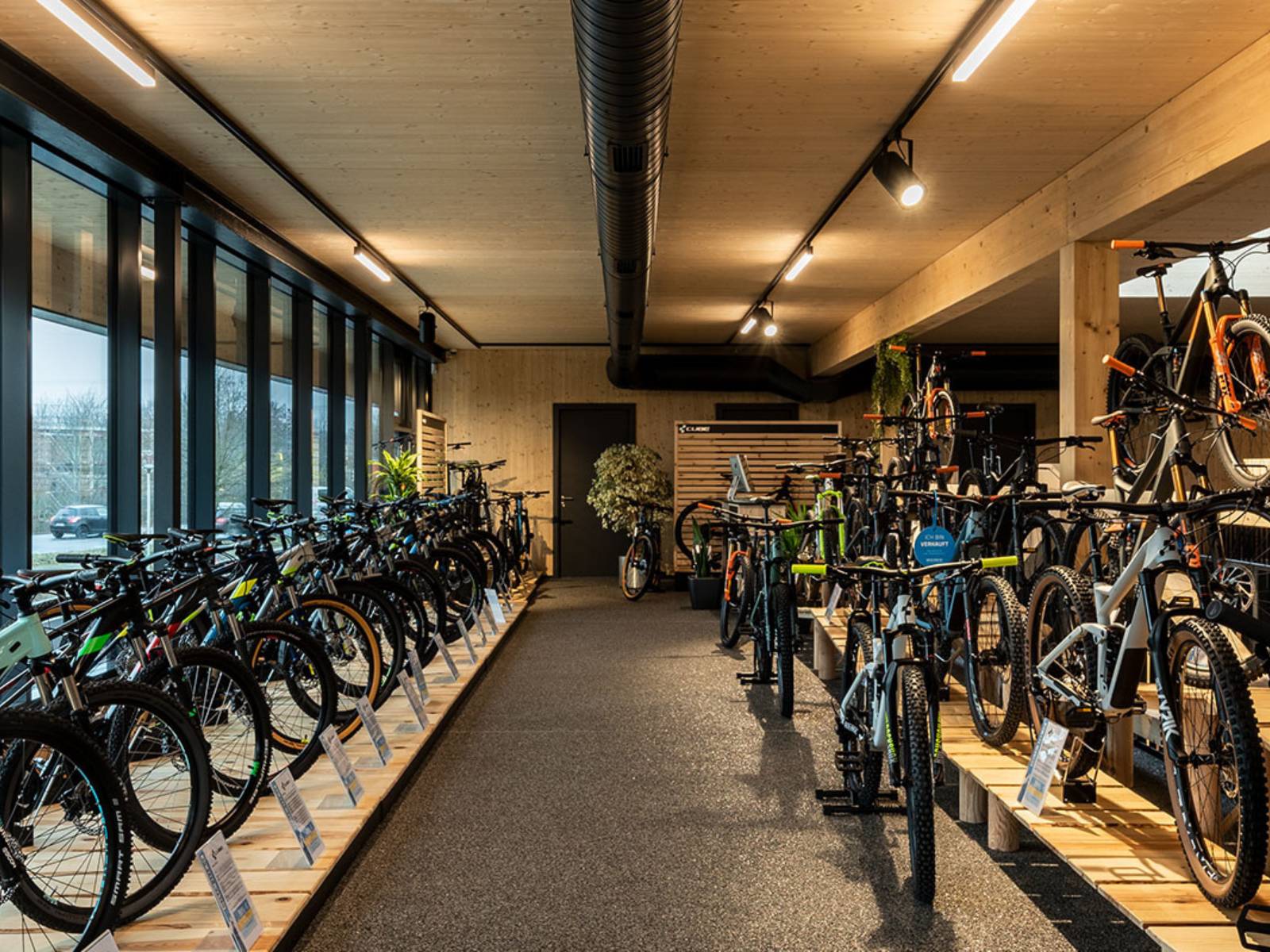 Verkaufsraum eines Bike-Shops mit zahlreichen Fahrrädern auf Podesten und einer Deckenbeleuchtung aus Stromschienen und LED-Lichtbändern