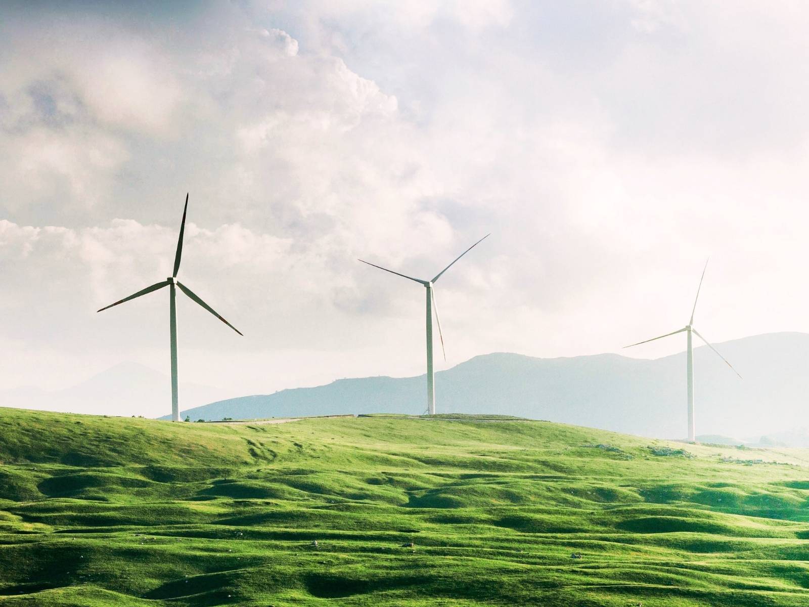 Weitläufiges, horizontales Banner mit fünf großen Windkraftanlagen auf einer saftig grünen Hügellandschaft unter einem leicht bewölkten Himmel.
