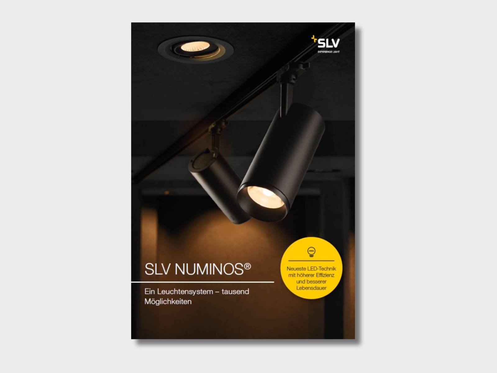 Cover der NUMINOS® Broschüre