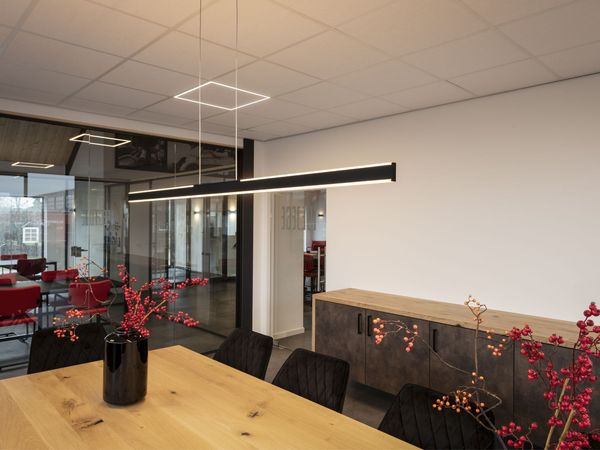 Moderne Bürofläche mit einem Holztisch, schwarzen Stühlen, roten Beeren-Dekorationen und ONE LINEAR Pendelleuchte. Glaswände geben den Blick auf einen Besprechungsbereich frei.