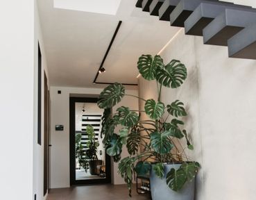 Ein moderner Flur mit einer großen Monstera-Pflanze im Topf, minimalistischer Einrichtung, neutralen Wänden und einer freitragenden Treppe mit dunklen Stufen.