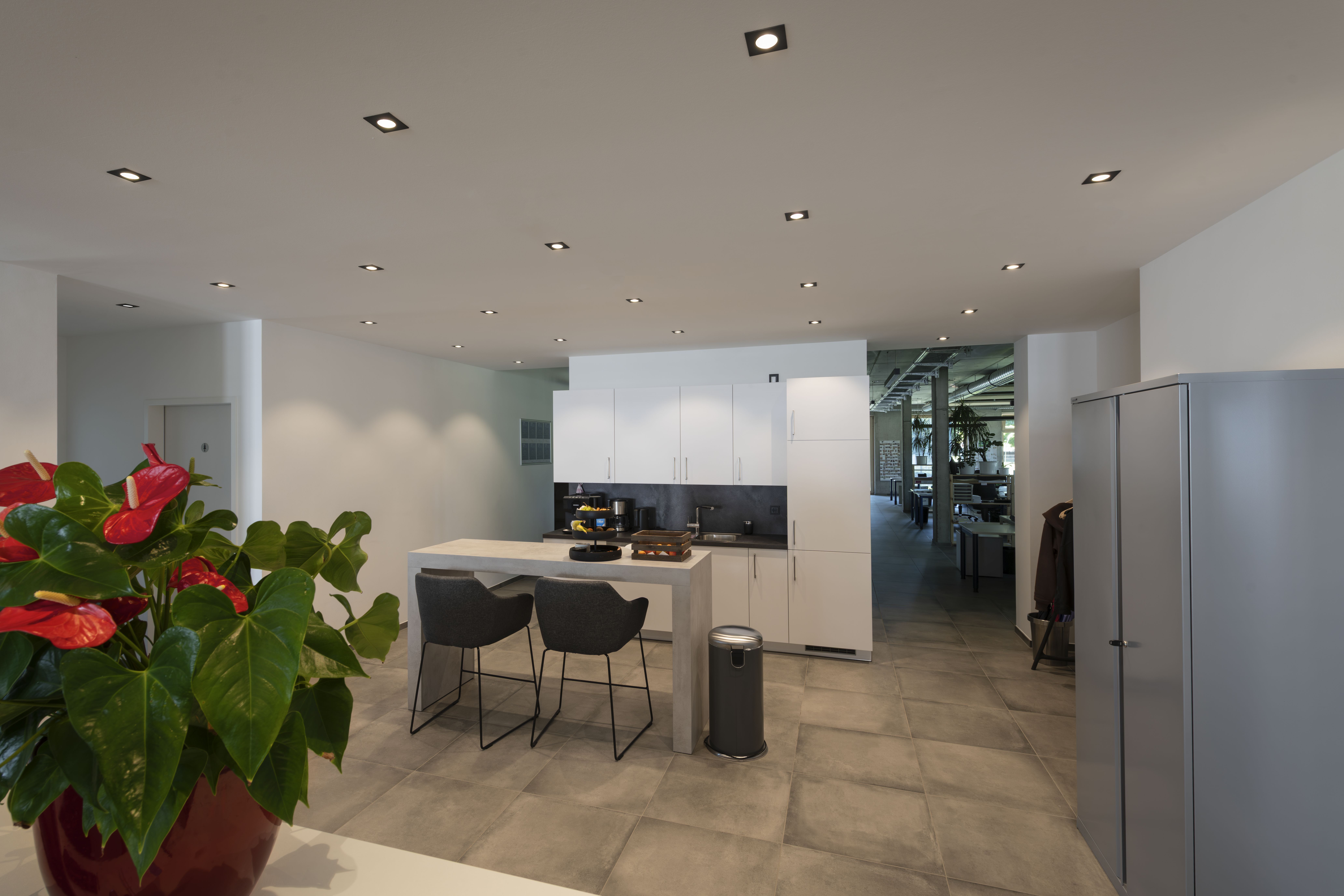 Moderne Küche mit weißen Schränken, einer zentralen Insel mit Barhockern und einer Topfpflanze im Vordergrund. NEW TRIA® Einbauleuchten an der Decke.