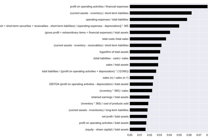 Feature importance for risk prediction